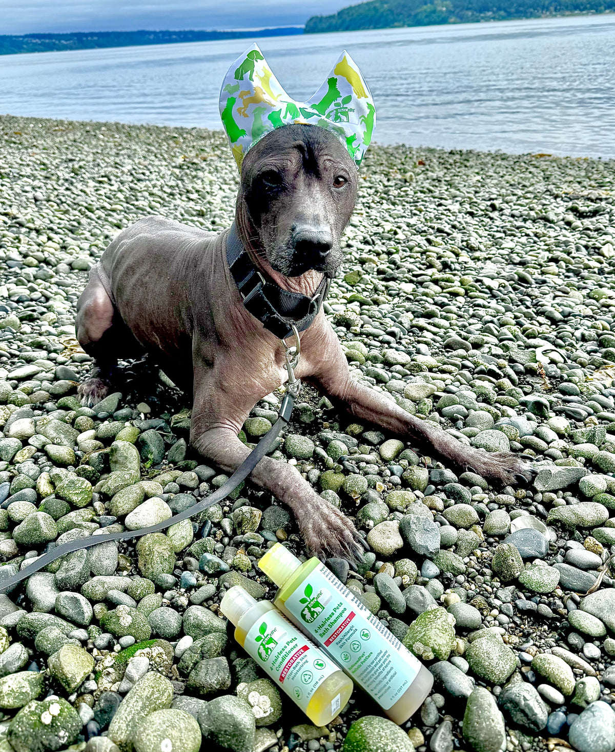 SUN CARE KIT