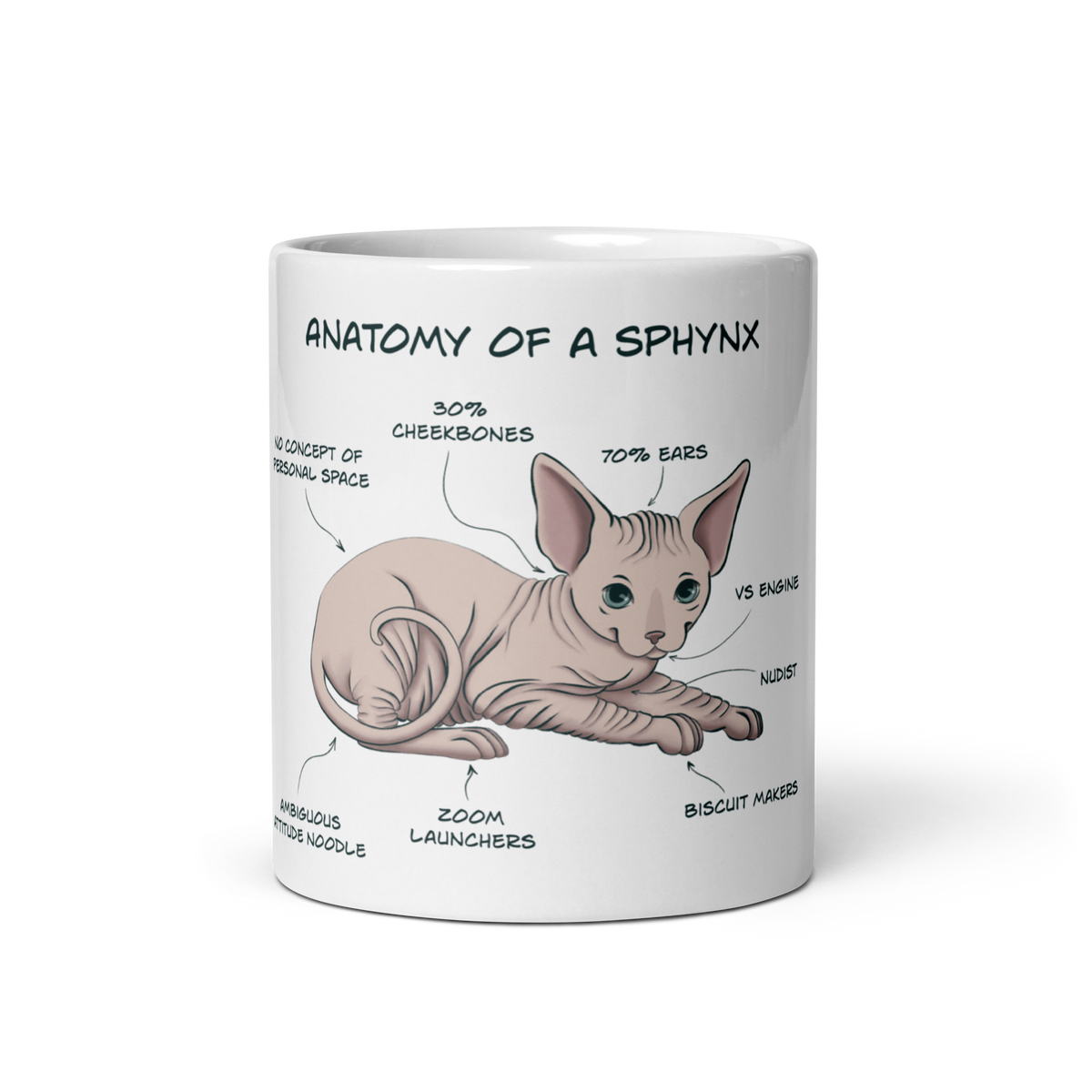 "ANATOMY OF A SPHYNX CAT" COFFEE MUG