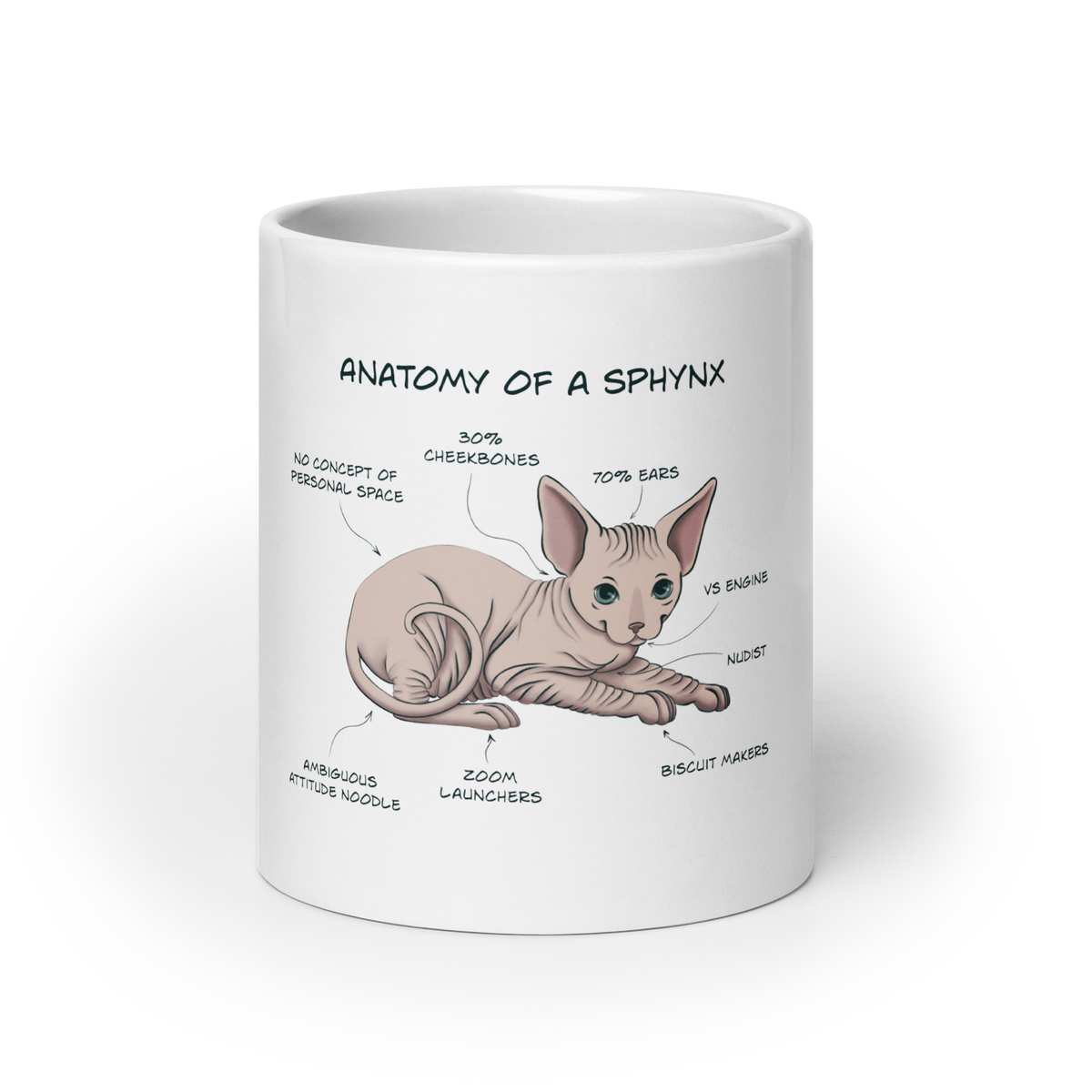 "ANATOMY OF A SPHYNX CAT" COFFEE MUG